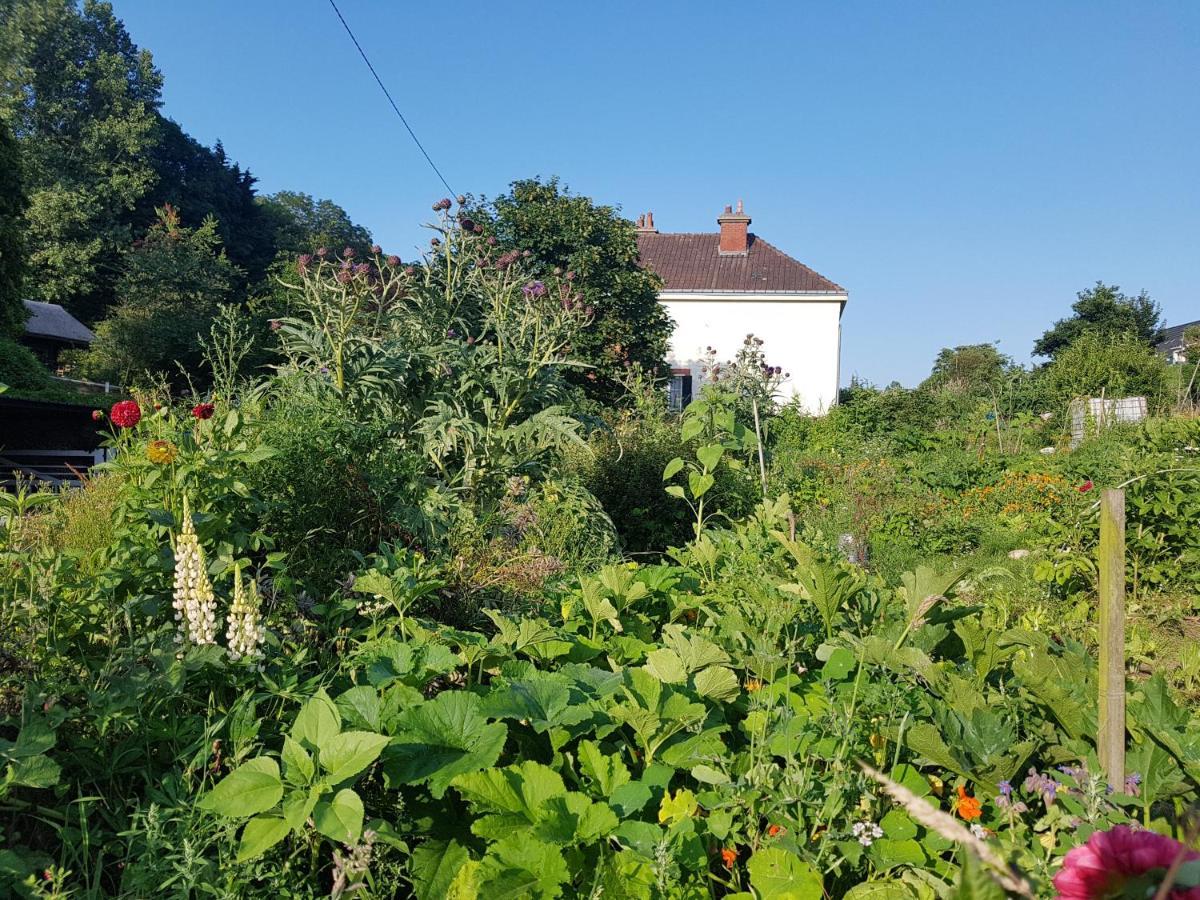 Bed and breakfast Les Lupins