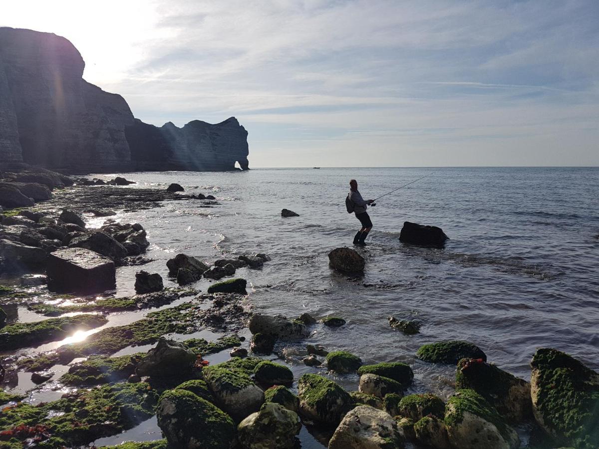 Bed and breakfast Les Lupins Étretat